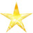 Star gold Icon